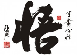 关于抛丸机振动筛的改进